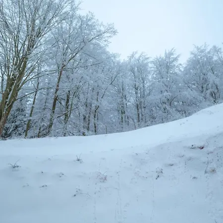 Zaciszny * Szklarska Poręba