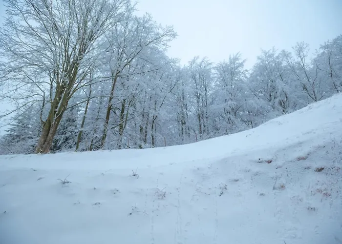 Zaciszny * Szklarska Poreba